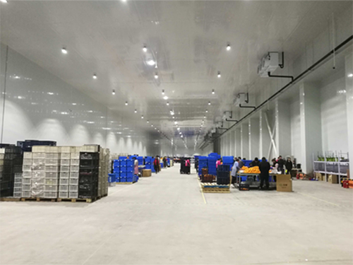 建設(shè)8000平米電商物流低溫冷藏庫費用造價是多少？