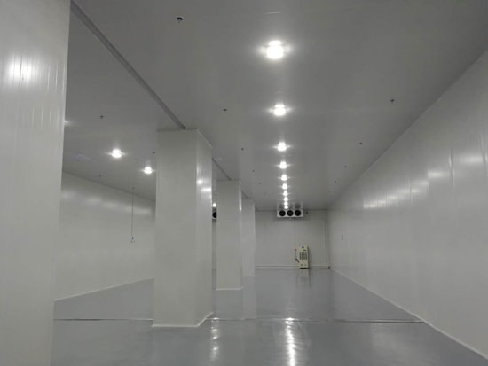 建設(shè)大型食品冷鏈物流冷藏庫費用一般是多少？