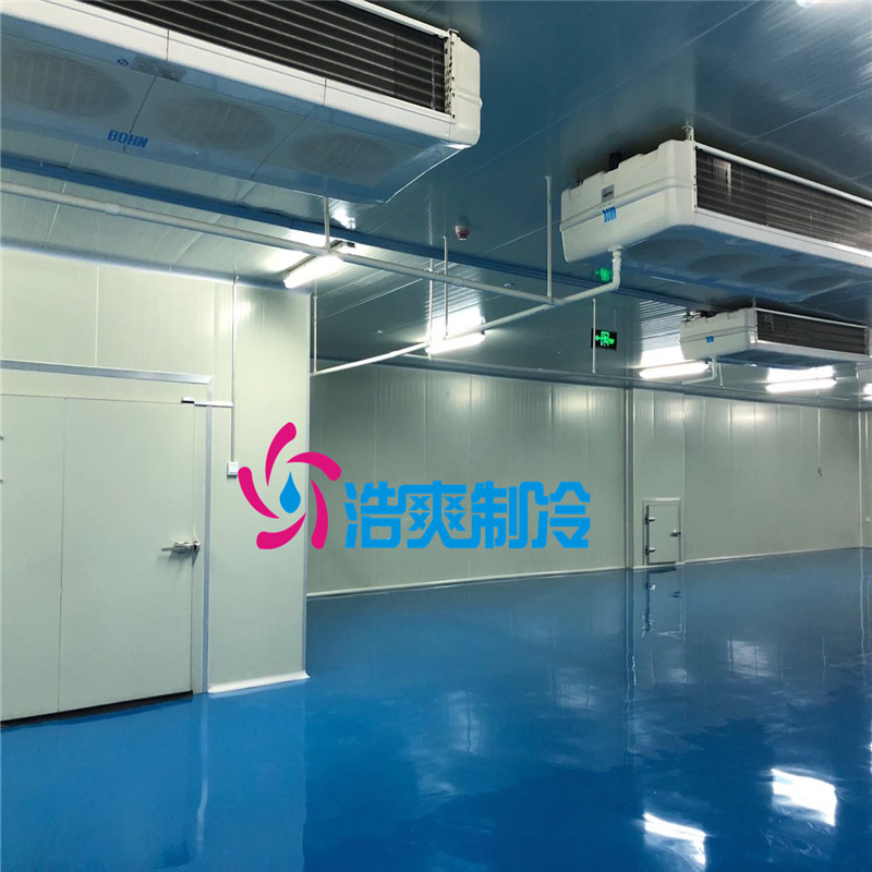 建造大型醫(yī)療冷藏庫所需要的費用價格是多少？