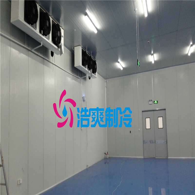  藥劑冷庫專業(yè)設計安裝
