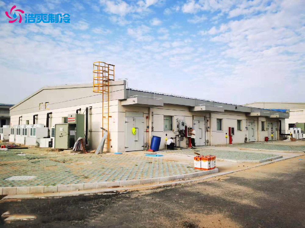 工業(yè)防爆冷庫 實驗室化工超低溫 冷藏庫建設(shè)安裝設(shè)計 安裝
