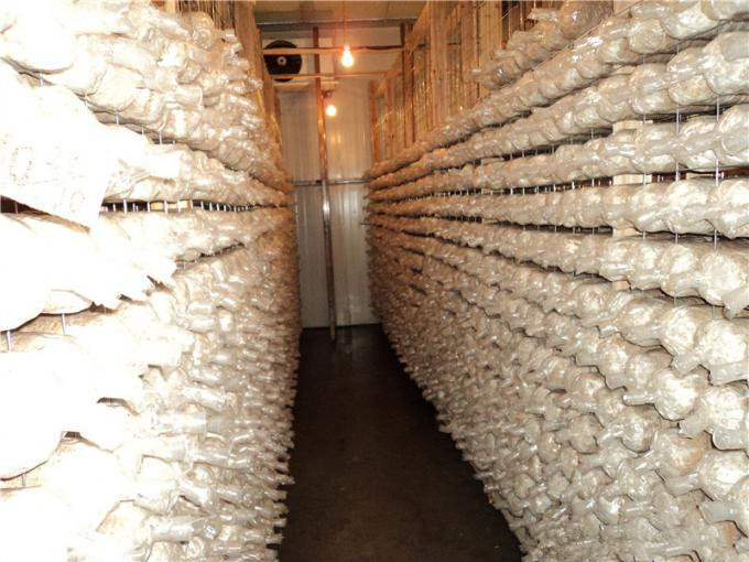 建一個100平方香菇冷庫全套要多少錢？
