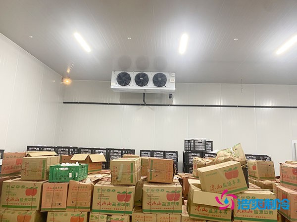 建設(shè)大型冷庫造價(jià)成本需要多少資金投入呢？