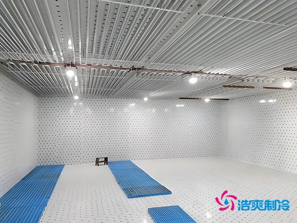 建設(shè)一個海鮮低溫冷庫造價多少錢一平方？