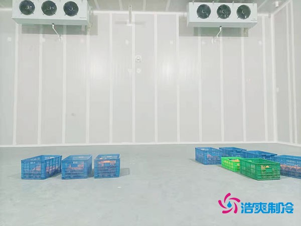 200噸蔬菜保鮮冷庫造價多少錢？需要多大面積？