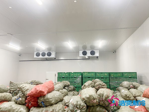 建造一個面積為100平方米的香菇保鮮庫造價需要多少費(fèi)用？