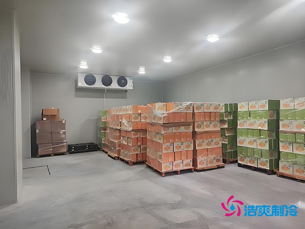 1000噸果蔬保鮮庫造價揭秘，節(jié)省成本就靠這幾點(diǎn)！