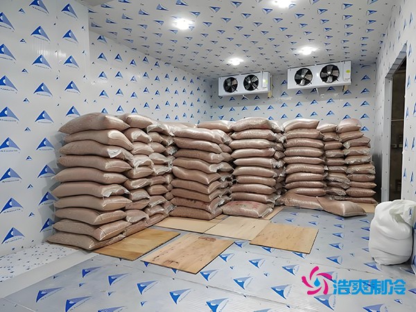 2萬(wàn)起建種子冷庫(kù)？這些因素讓造價(jià)翻倍！
