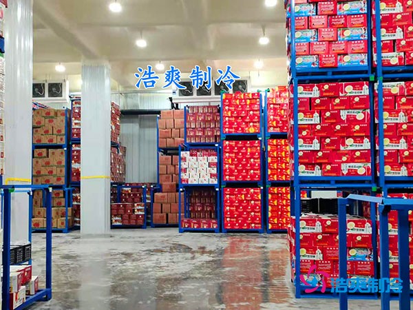 500平果蔬冷庫造價(jià)曝光！35萬起建，省錢秘訣在這里！