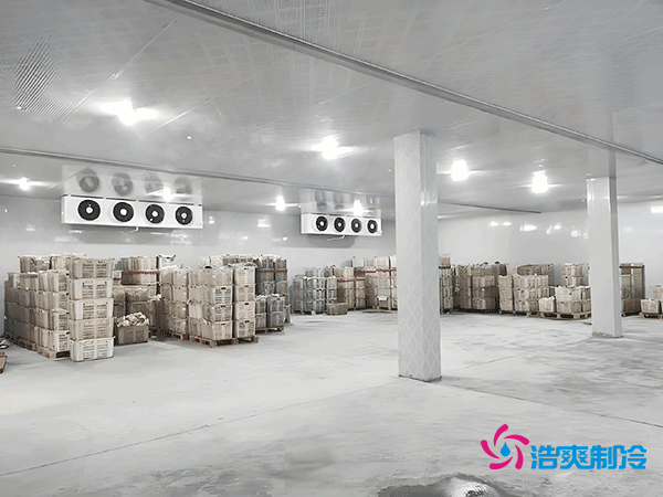 零下35℃制冰！建一個冷庫到底要花多少錢？