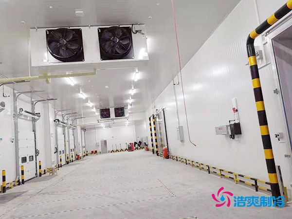 冷庫造價懸殊？揭秘每平米價格背后的秘密！