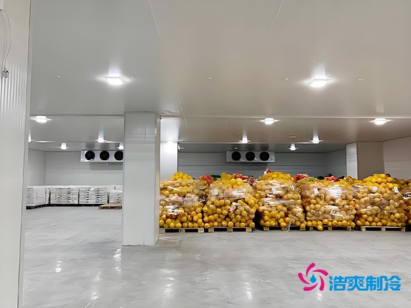 20噸玉米如何長期保鮮？冷庫造價大揭秘！