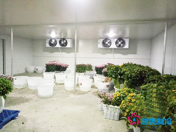 建造500㎡花卉鮮花冷庫工程造價預算解析