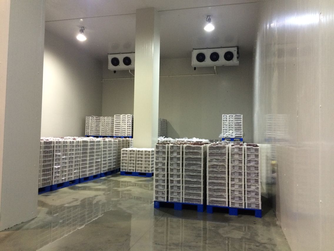 2000噸水果冷庫，冷庫安裝費用多少