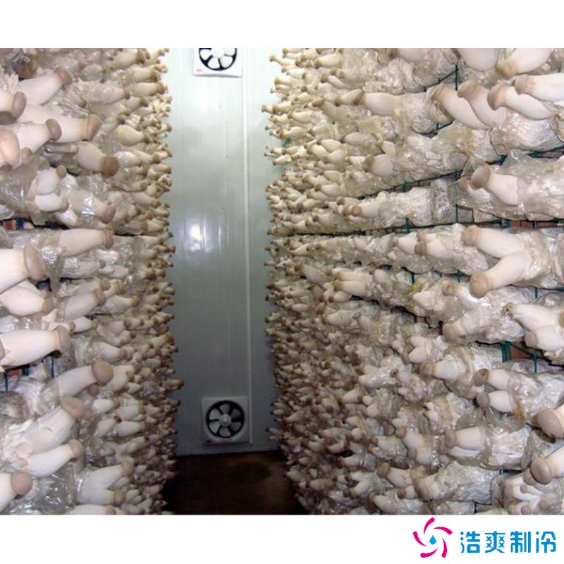 蘑菇冷庫建造成本多少錢，蘑菇冷藏方法哪些