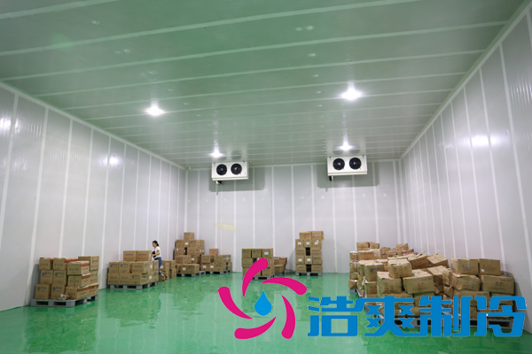 上海藥廠建造-20℃醫(yī)藥血漿冷庫，超低溫血漿冷庫定制預算多少