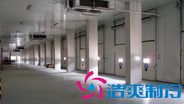 5000平冷鏈配送中心冷庫(kù)(電商物流冷藏庫(kù))冷庫(kù)圖片