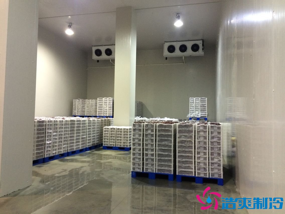 5000平米生鮮電商冷庫(kù)(冷鏈中心配送冷庫(kù))怎么核算價(jià)格