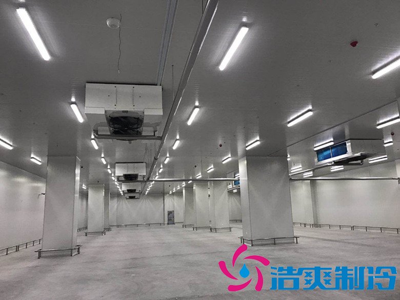 港口冷鏈冷庫市場趨勢和現(xiàn)狀，萬噸港口冷鏈低溫倉儲造價(jià)預(yù)算