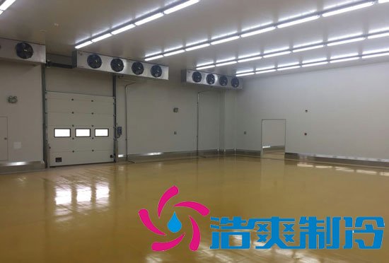 港口冷鏈冷庫市場趨勢和現(xiàn)狀，萬噸港口冷鏈低溫倉儲造價(jià)預(yù)算