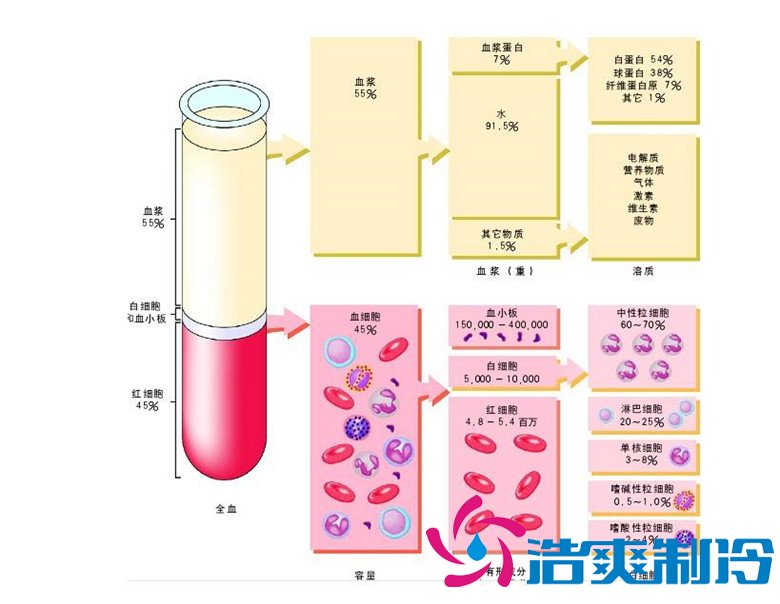 -30℃～-80℃血漿蛋白低溫冷凍庫規(guī)范，冷庫安裝價格