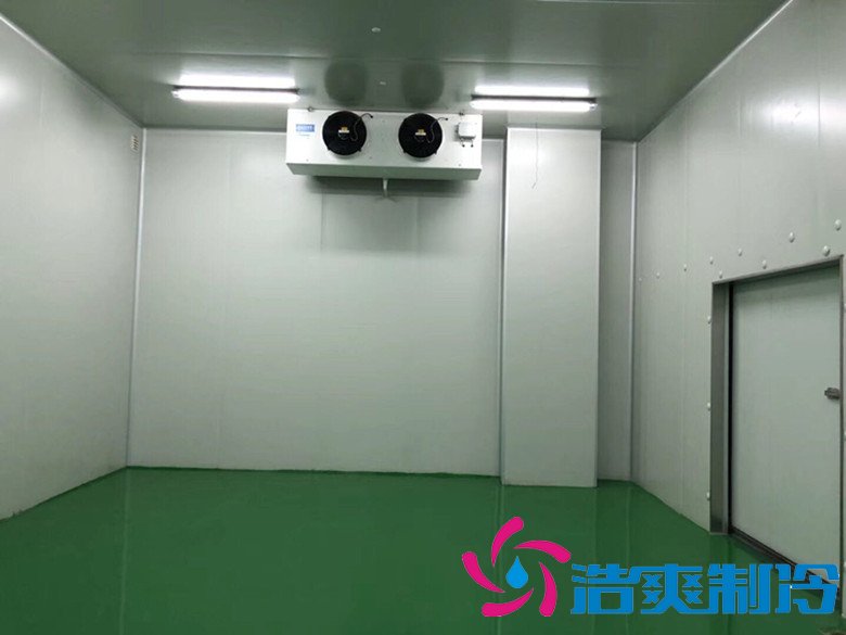 醫(yī)療冷庫的安裝標準，2-8℃生物制品冷庫安裝制冷設備造價 冷庫內(nèi)景圖片