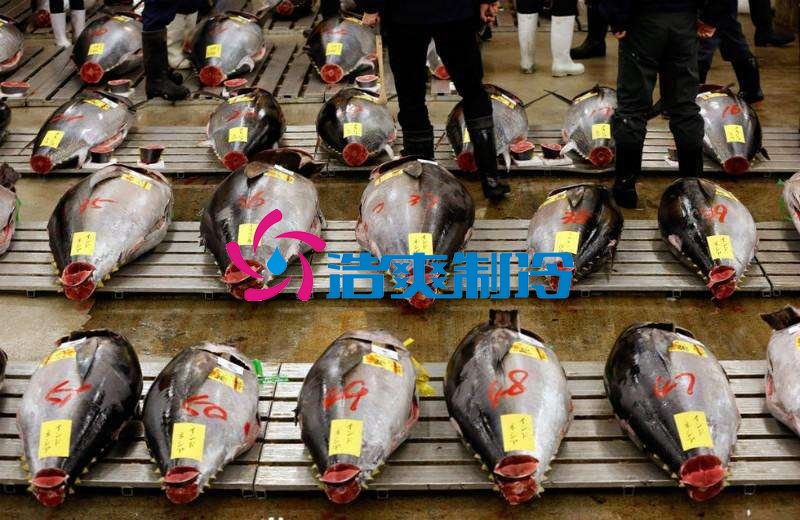 浩爽制冷，金槍魚冷庫，超低溫冷凍庫