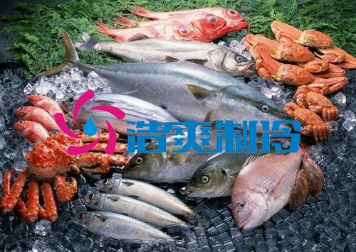 浩爽制冷，海鮮冷凍庫(kù)、食品冷凍庫(kù)